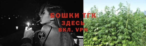 a pvp Аркадак