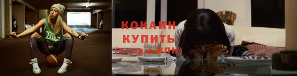 a pvp Аркадак